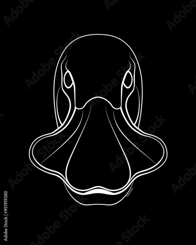 Platypus head minimalist line art illustration photo