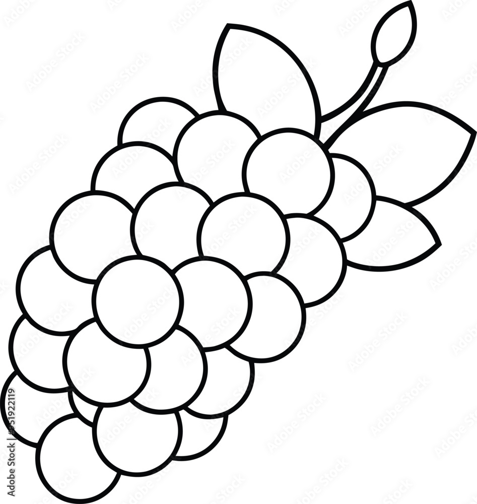 Simple grape line art cluster with clean elegant lines showing a classic bunch of grapes
Simple grape line art cluster with clean elegant lines showing a classic bunch of grapes