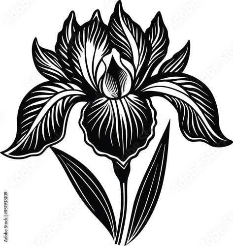 This minimalist iris flower vector illustration highlights its graceful form and delicate lines
