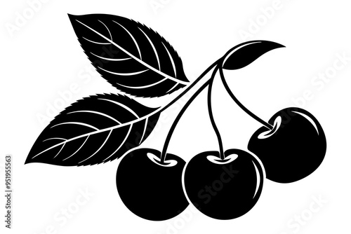 cherries with leaves silhouette vector illustration