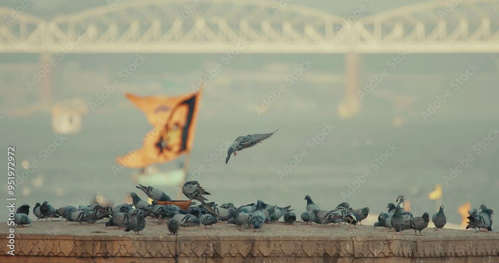 Varanasi, India. Birds Take Off And Land On Sacred Ghat In Varanasi. Pigeons Fly Up In Slow Mo. Birds Slow Motion Flight. Orange Flags Fluttering In Slow Mo, Symbolizing Hanuman. Cinematic View On