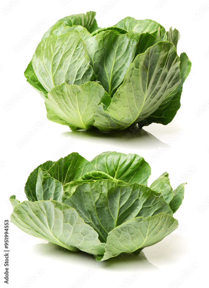 Obraz premium cabbage on a white background