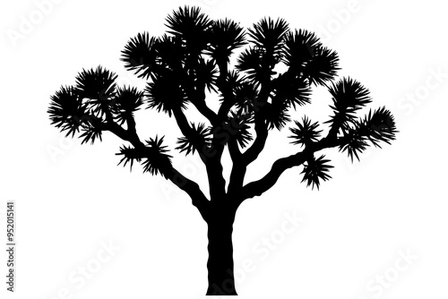 Joshua tree vector illustration