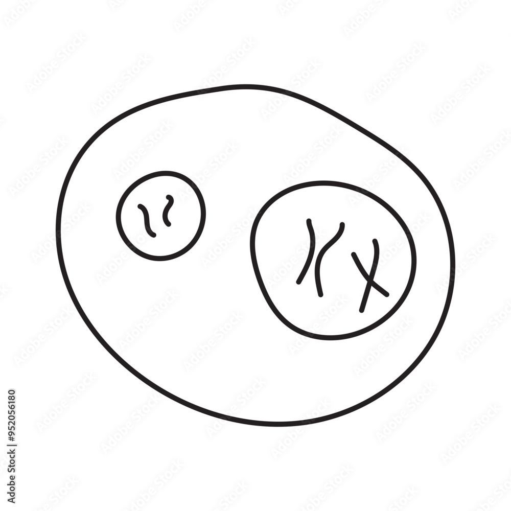 zygot icon zygot icon