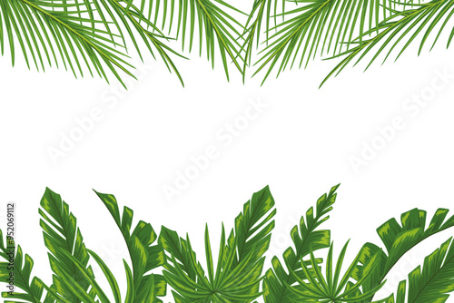 Tropical horizontal frame with palm leaves for party invitations, sale posters, banner and cards. Hand drawn illustration with a text place. Elements are not cropped, hidden under a clipping mask
