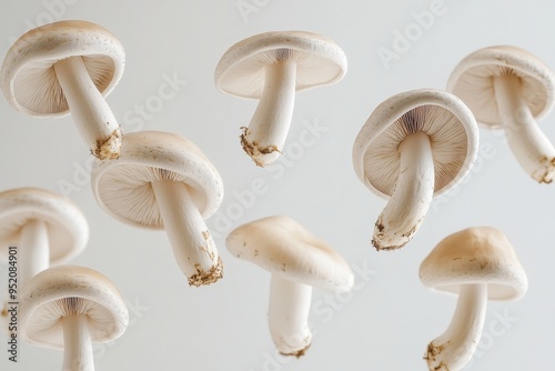 A collection of floating mushrooms against a light background.