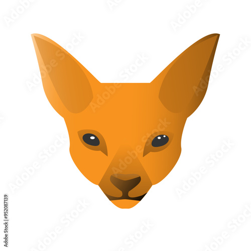 Orange fox