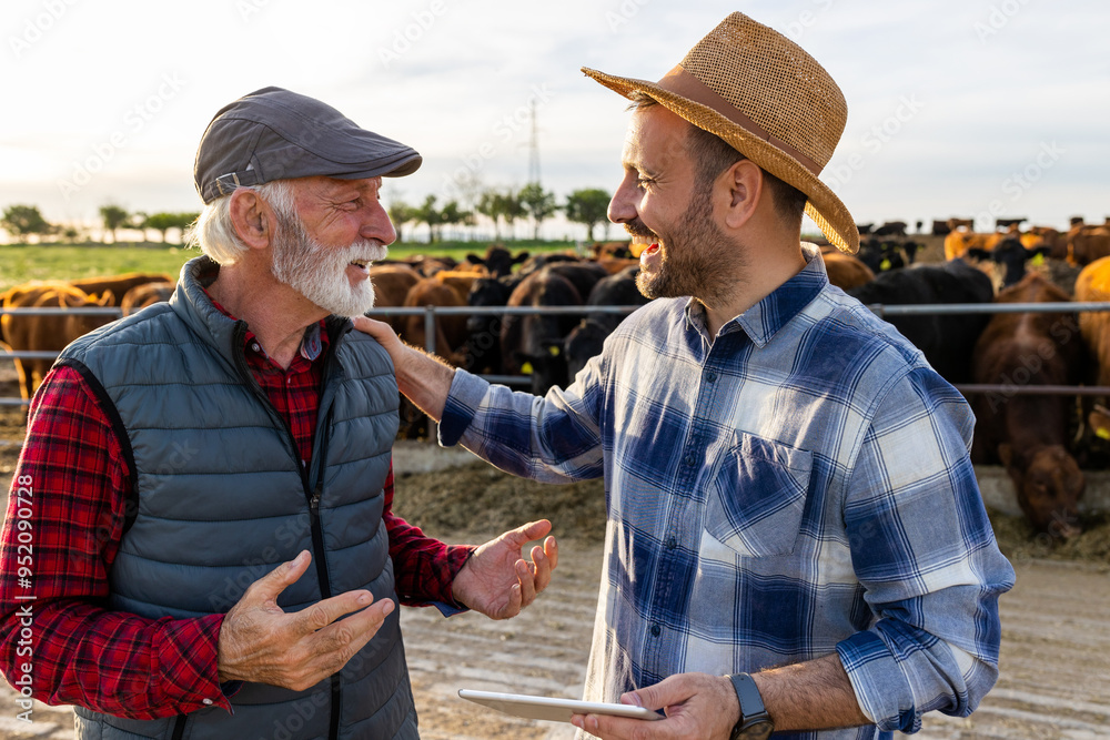 Farmers talking in front of bovine on ranch Farmers talking in front of bovine on ranch