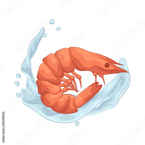 Illustration of shrimp 