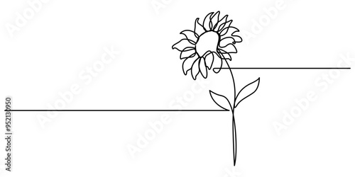 One line sunflower element. Black and white monochrome continuous single line art, Single sunflower simple vector line illustration. One line art drawing of sunflower, One continuous line drawing 