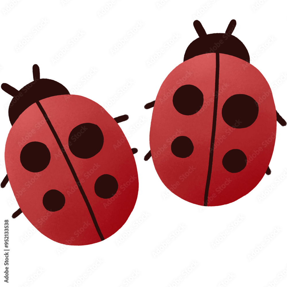 Ladybug Ladybug