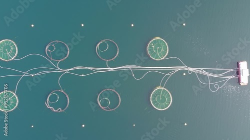 Aerial shot directly above a circular shaped fish farm