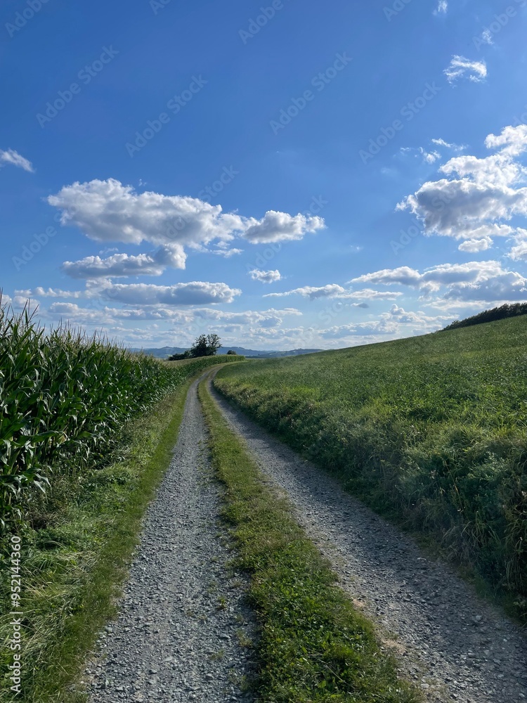 Wandern Hennetalsperre Sauerland Meschede Deutschland Wandern Hennetalsperre Sauerland Meschede Deutschland