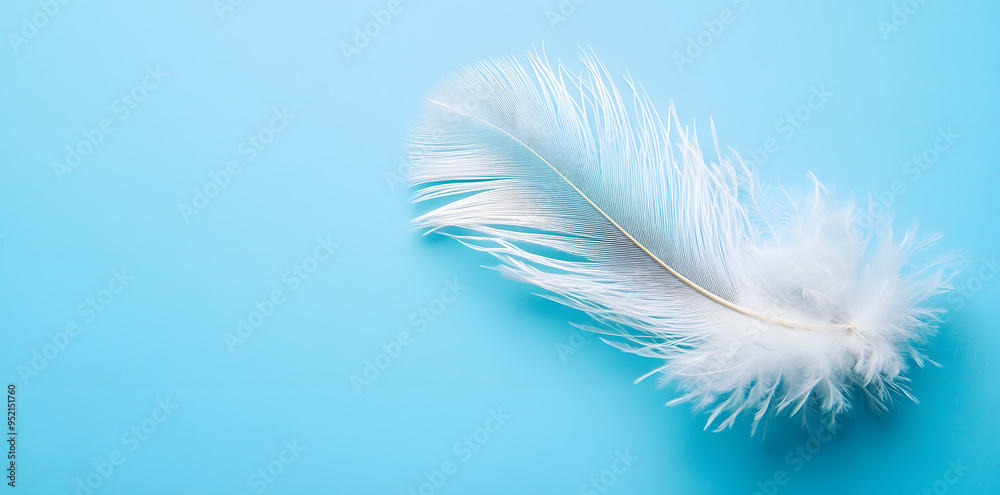 Fototapeta premium White fluffy bird feather on sky blue background