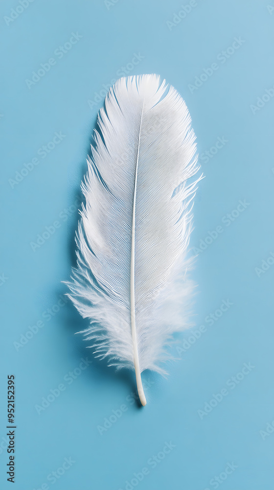 White fluffy bird feather on sky blue background
