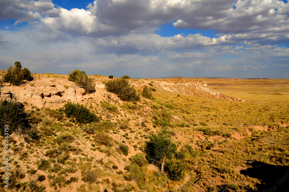 Fototapeta premium Harsh Landscape Petrified Forest National Park Arizona