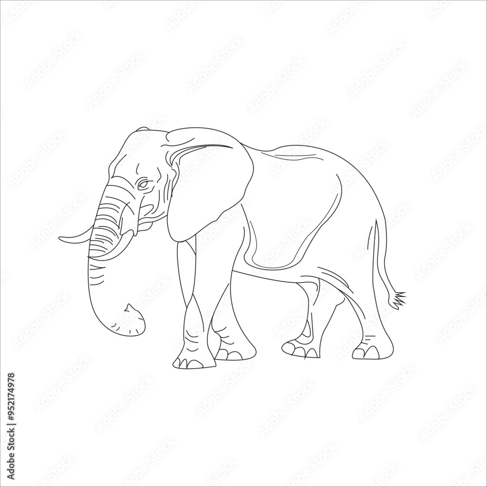 Fototapeta premium vector elephant line art illustration