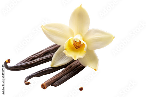 Vanilla flower pods and sticks isolated on a white background