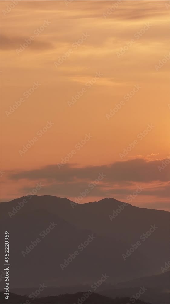 田園風景に反射する夕焼け空　6月　空撮　ドローン撮影　農業　イメージ	　縦