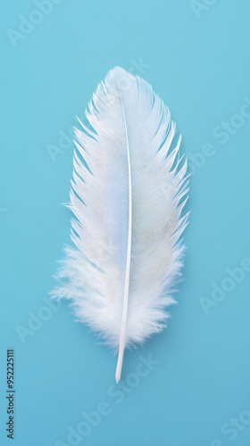 White fluffy bird feather on sky blue background