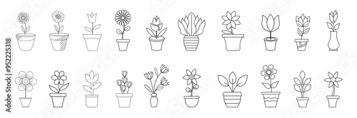Flowers and pots interior design beautiful flowers plants Plant outline drawing vector set