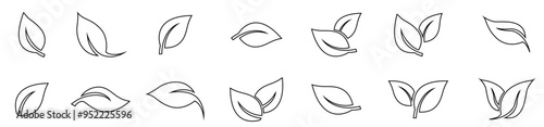 Green leaf icons set leaves icon isolated background collection green leaf elements design natural.