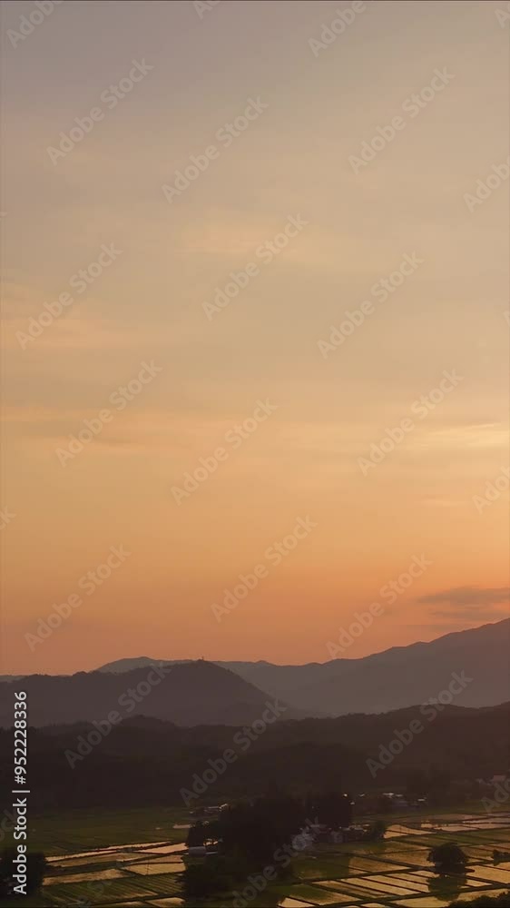 田園風景に反射する夕焼け空　6月　空撮　ドローン撮影　農業　イメージ	　縦
