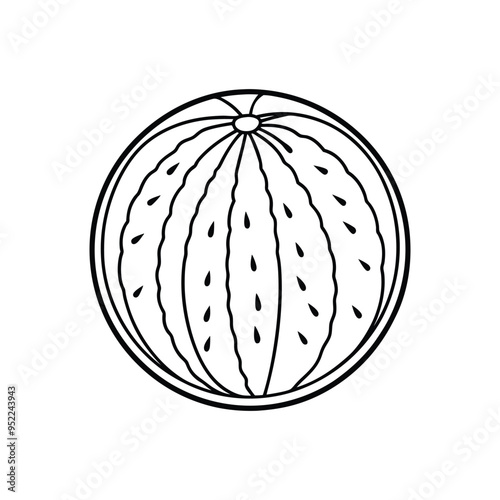 Watermelon fruit icon vector illustration on white background.