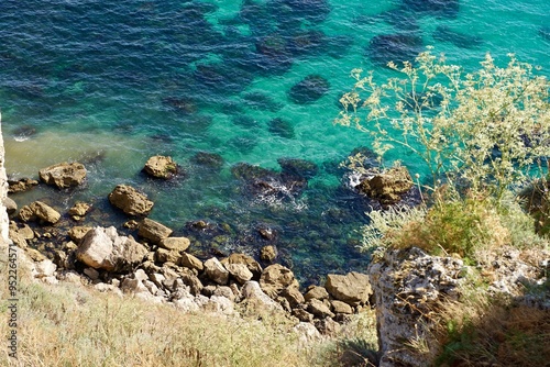 Coral reef in the black sea