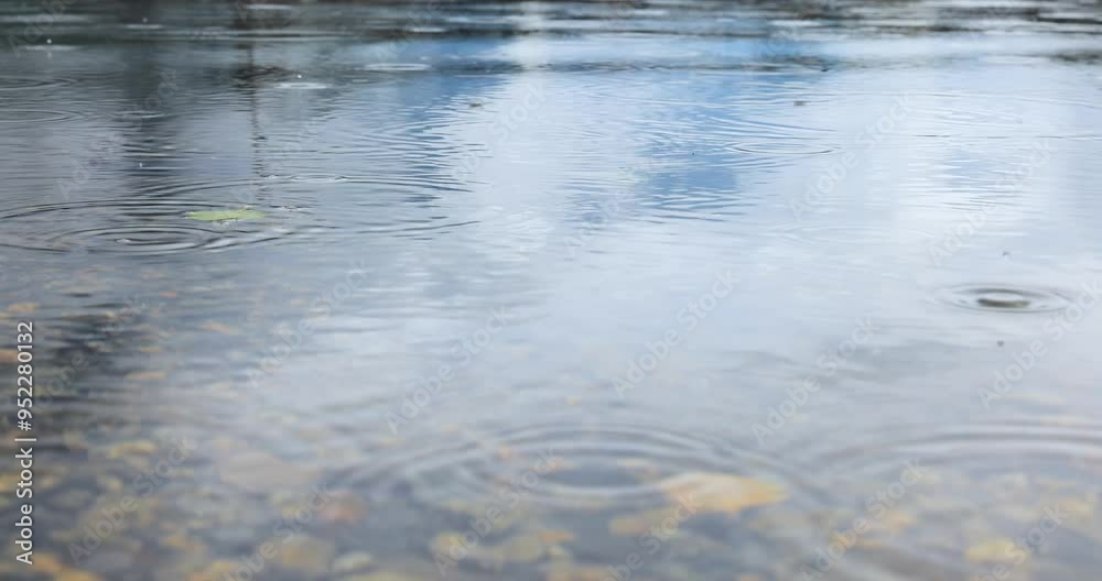 Abstract background, rain drops on the water. Abstract background, rain drops on the water.