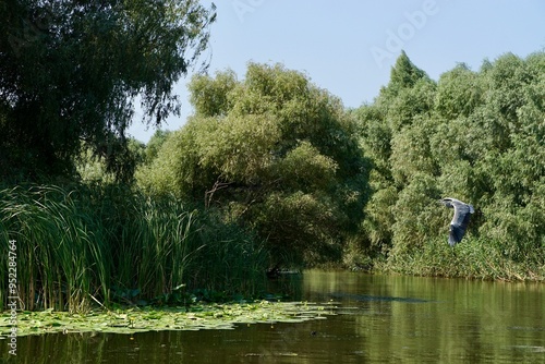 Danube Landscape 6K