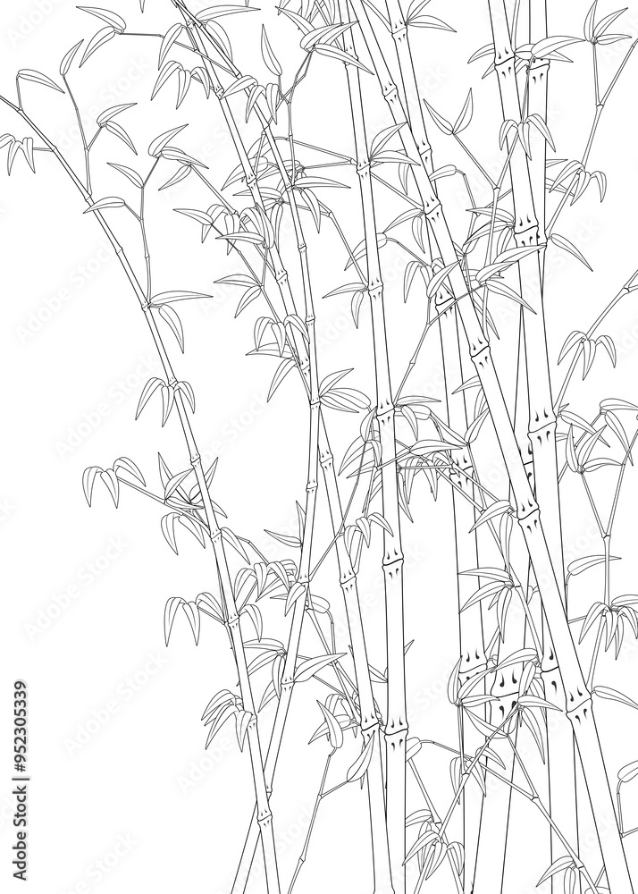 Obraz premium Bamboo line art work illustration transparent background