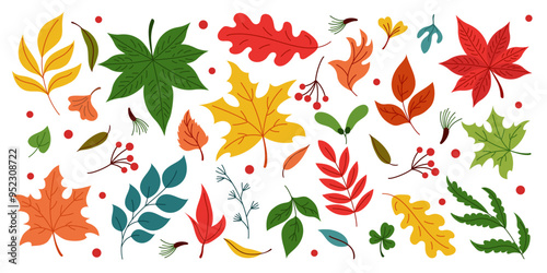 Leaf fall autumn. Maple icon, pattern tree. Red yellow and green plants leaves. Dry birch, brown oak. Orange season forest foliage. Vector background, cartoon flat style isolated illustration tidy set