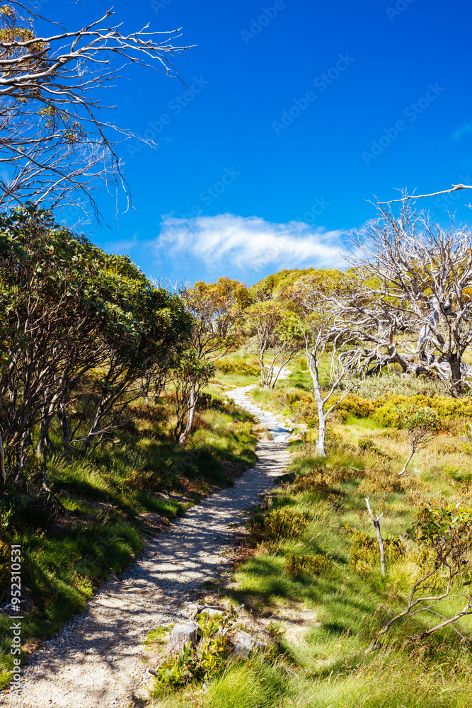 Porcupine Rocks Walk in Australia Porcupine Rocks Walk in Australia