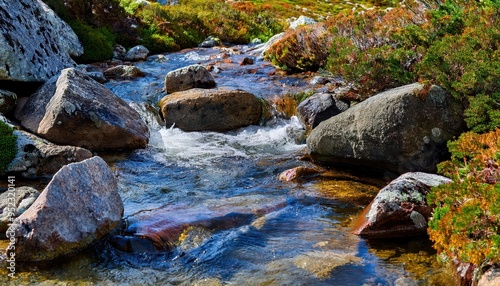 The narrow creek cuts through a limestone canyon, its waters carving intricate patterns in the soft rock. Ferns and moss cling to the damp walls, thriving in the moist environment. 