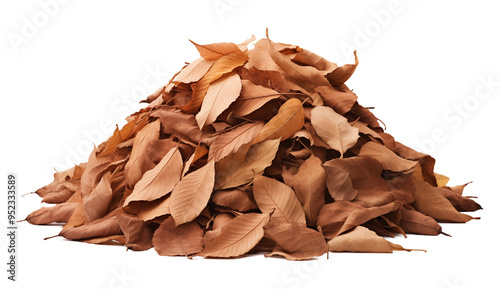 Dried Leaves Pile Isolated on Transparent Background PNG 