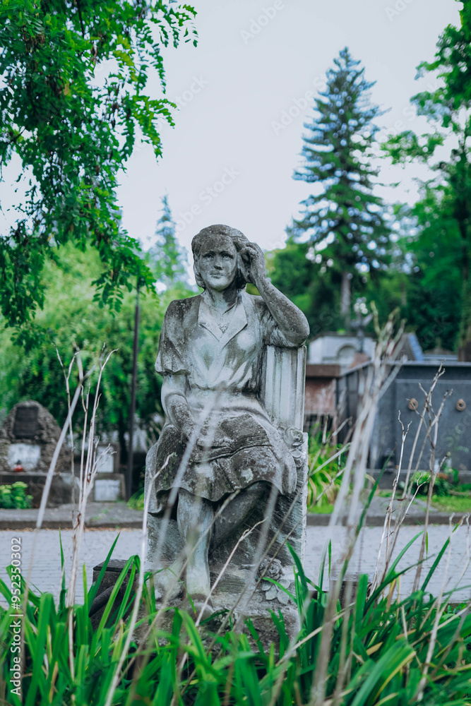 Fototapeta premium Lychakivske Cemetery is a historic municipal cemetery located in Lviv, Ukraine, renowned for its stunning architecture, elaborate tombstones, and rich history, serving as the final resting place for n