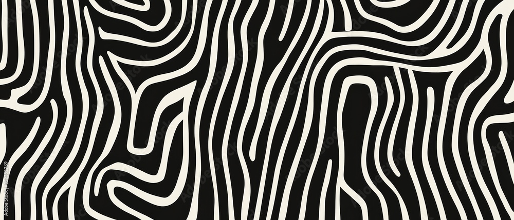 A black and white zebra print with a black and white stripe A black and white zebra print with a black and white stripe