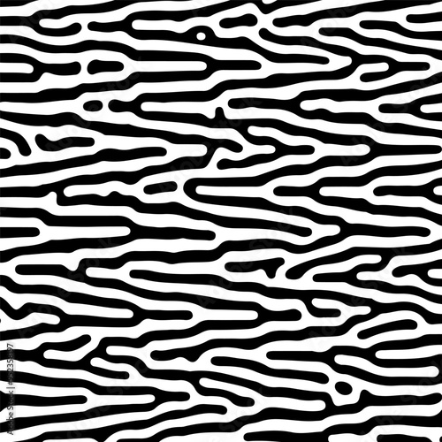 Abstract zebra style black and white wavy lines seamless pattern vector design
