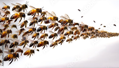 A swarm of bees flying in unison, captured in motion against a white background.