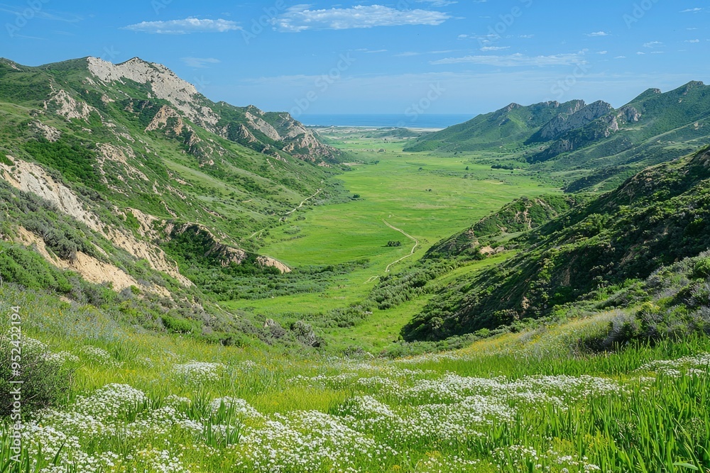 Fototapeta premium Mountain Valley Landscape with Coastal View and White Wildflowers