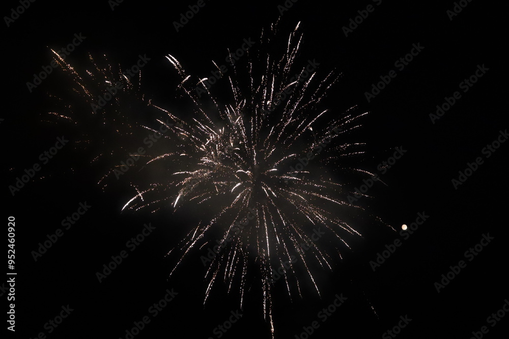 Spectacular Fireworks Lighting Up the Night Sky
