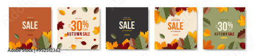 Autumn banner set. Cover, card or poster with leaves. Template for advertising, web, social media. Vector illustration.