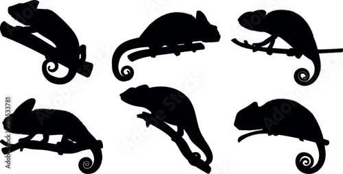 Chameleon silhouettes vector illustration set