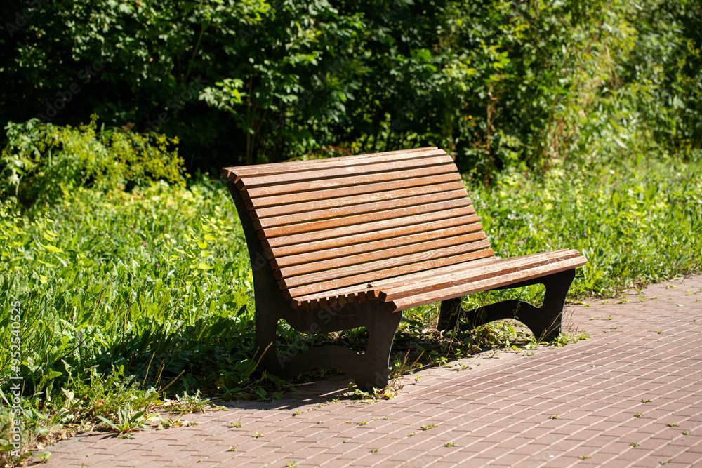wooden bench in city park in summer wooden bench in city park in summer
