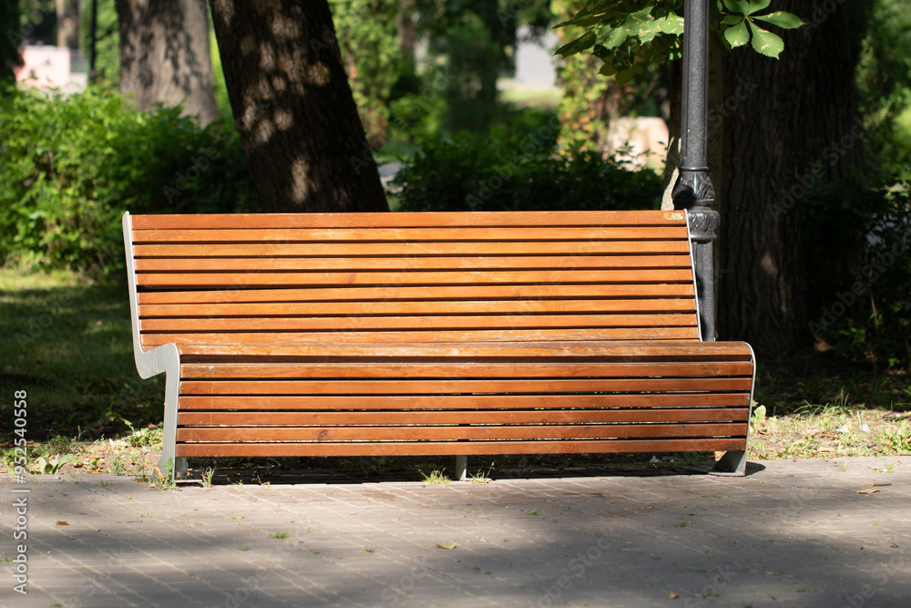 wooden bench in city park in summer wooden bench in city park in summer