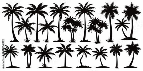 Tropical palm trees set silhouettes on white background 
