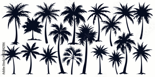 Tropical palm trees set silhouettes on white background 