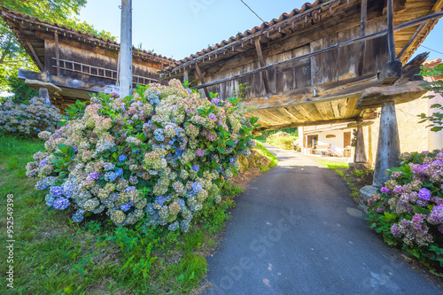 Typical Asturian horreos in Sietes village, Asturias, Spain photo