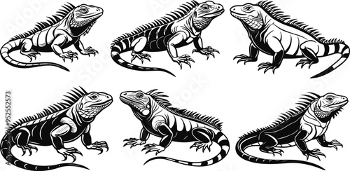 set of iguana silhouette vector illustration